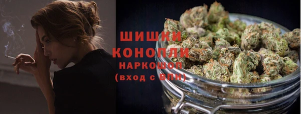 PSILOCYBIN Алзамай
