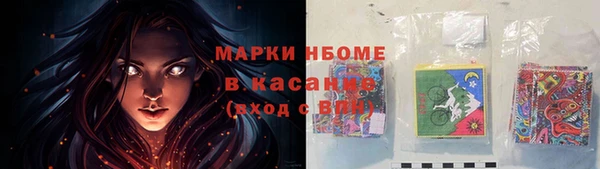 PSILOCYBIN Алзамай