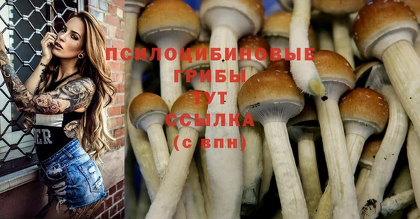 кокаин Алексеевка