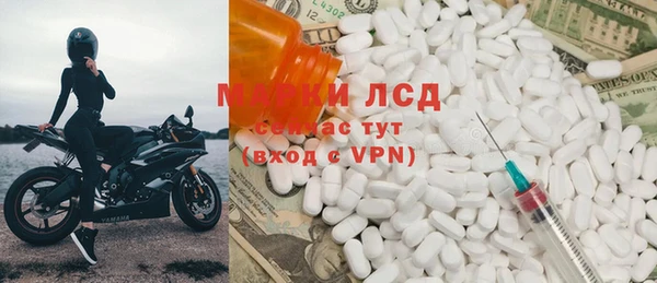 PSILOCYBIN Алзамай