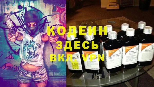 PSILOCYBIN Алзамай