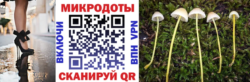 Галлюциногенные грибы ЛСД  Кропоткин 