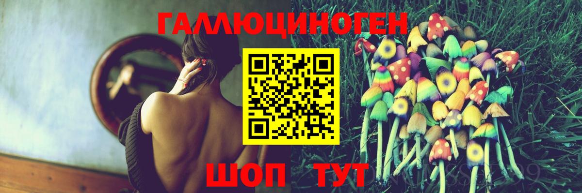 Галлюциногенные грибы Psilocybine cubensis Кропоткин